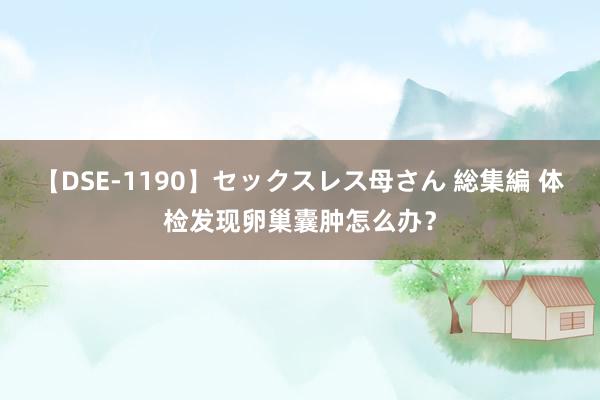 【DSE-1190】セックスレス母さん 総集編 体检发现卵巢囊肿怎么办？