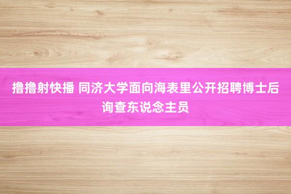 撸撸射快播 同济大学面向海表里公开招聘博士后询查东说念主员