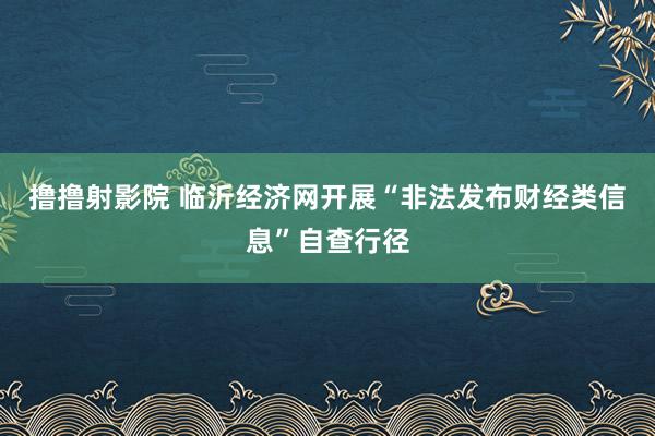 撸撸射影院 临沂经济网开展“非法发布财经类信息”自查行径