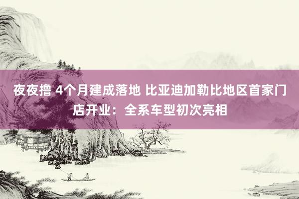 夜夜撸 4个月建成落地 比亚迪加勒比地区首家门店开业：全系车型初次亮相