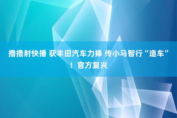 撸撸射快播 获丰田汽车力捧 传小马智行“造车”！官方复兴