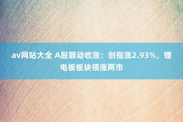 av网站大全 A股颤动收涨：创指涨2.93%，锂电板板块领涨两市