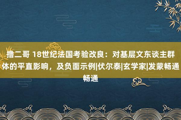 撸二哥 18世纪法国考验改良：对基层文东谈主群体的平直影响，及负面示例|伏尔泰|玄学家|发蒙畅通