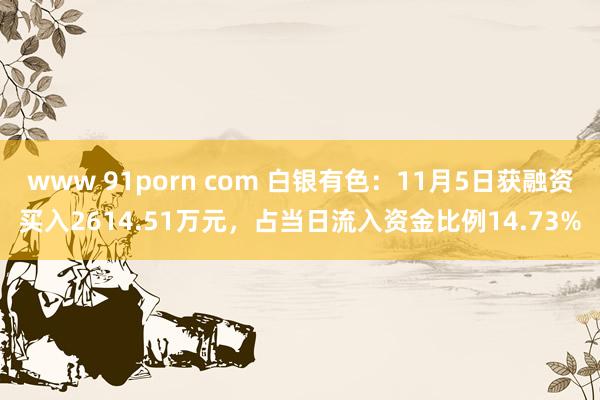 www 91porn com 白银有色：11月5日获融资买入2614.51万元，占当日流入资金比例14.73%