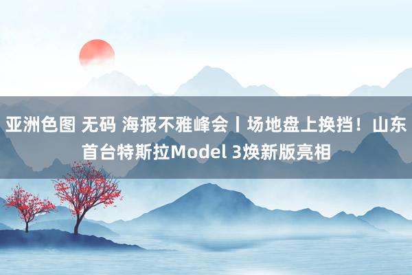 亚洲色图 无码 海报不雅峰会丨场地盘上换挡！山东首台特斯拉Model 3焕新版亮相