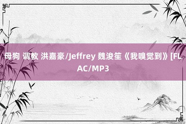 母狗 调教 洪嘉豪/Jeffrey 魏浚笙《我嗅觉到》[FLAC/MP3