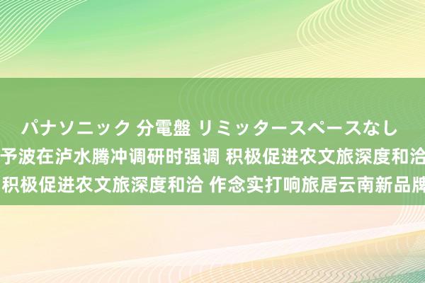 パナソニック 分電盤 リミッタースペースなし 露出・半埋込両用形 王予波在泸水腾冲调研时强调 积极促进农文旅深度和洽 作念实打响旅居云南新品牌