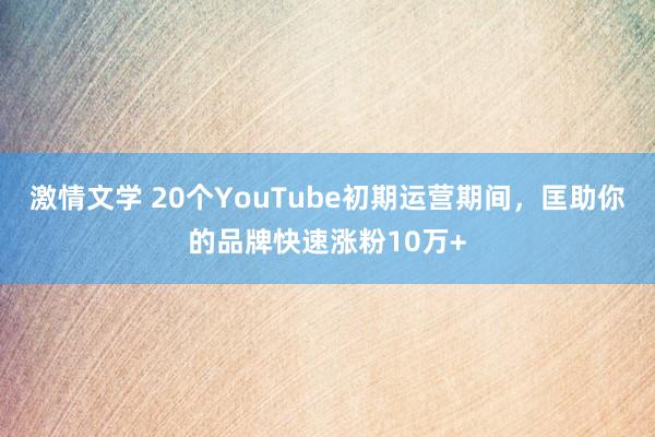 激情文学 20个YouTube初期运营期间，匡助你的品牌快速涨粉10万+