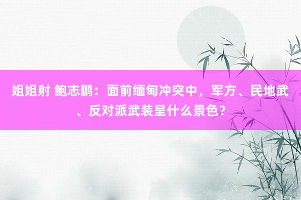 姐姐射 鲍志鹏：面前缅甸冲突中，军方、民地武、反对派武装呈什么景色？